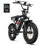 W16B 20" X 4" Fat Tire Electric Bike, 750W Motor Adult Ebike with 48V 15.6Ah Removable Battery, Electric Bicycle with 7 Speed, UL2849