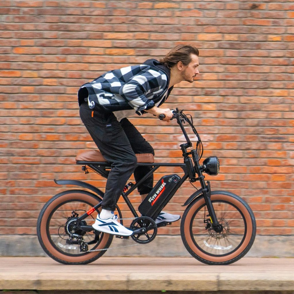 W16B 20" X 4" Fat Tire Electric Bike, 750W Motor Adult Ebike with 48V 15.6Ah Removable Battery, Electric Bicycle with 7 Speed, UL2849