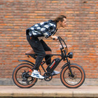 W16B 20" X 4" Fat Tire Electric Bike, 750W Motor Adult Ebike with 48V 15.6Ah Removable Battery, Electric Bicycle with 7 Speed, UL2849