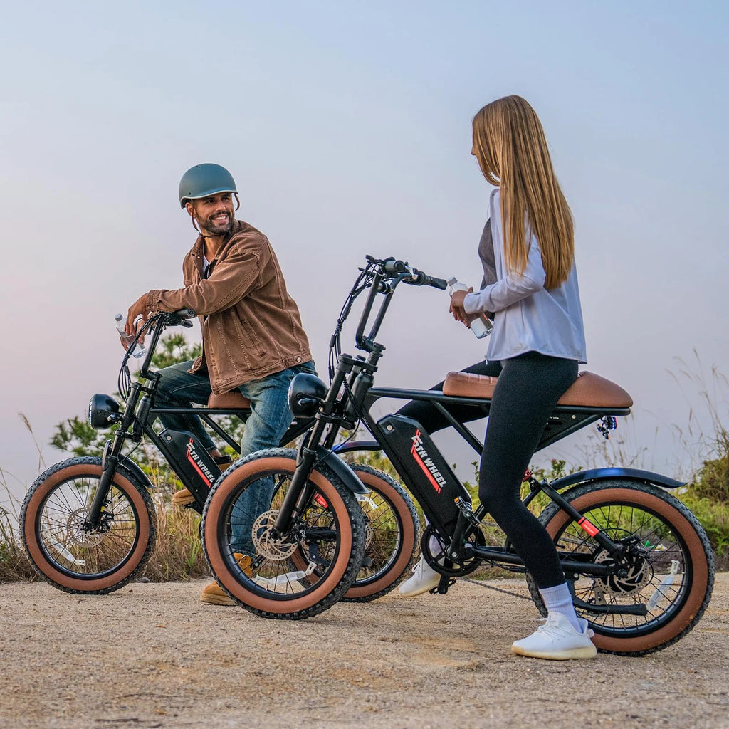 W16B 20" X 4" Fat Tire Electric Bike, 750W Motor Adult Ebike with 48V 15.6Ah Removable Battery, Electric Bicycle with 7 Speed, UL2849