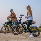 W16B 20" X 4" Fat Tire Electric Bike, 750W Motor Adult Ebike with 48V 15.6Ah Removable Battery, Electric Bicycle with 7 Speed, UL2849