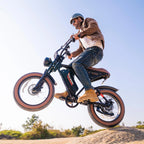 W16B 20" X 4" Fat Tire Electric Bike, 750W Motor Adult Ebike with 48V 15.6Ah Removable Battery, Electric Bicycle with 7 Speed, UL2849