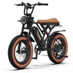 W16B 20" X 4" Fat Tire Electric Bike, 750W Motor Adult Ebike with 48V 15.6Ah Removable Battery, Electric Bicycle with 7 Speed, UL2849