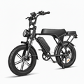 Heavy-Duty Fat Tire Electric Mountain Bike with Long-Range Battery Technology
